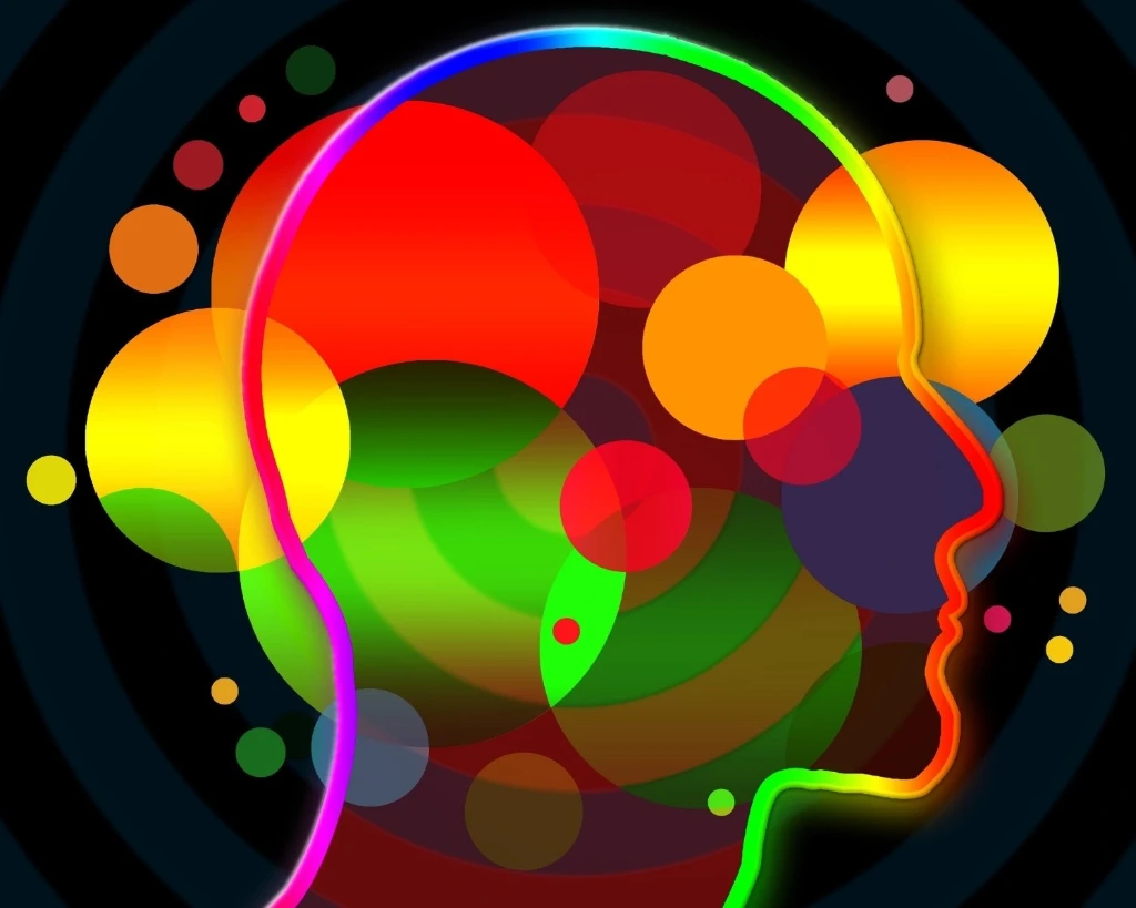 Cerveau performant