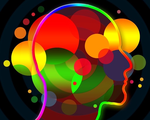 CERVEAU PERFORMANT